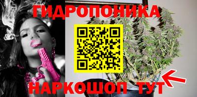 спиды Лесосибирск