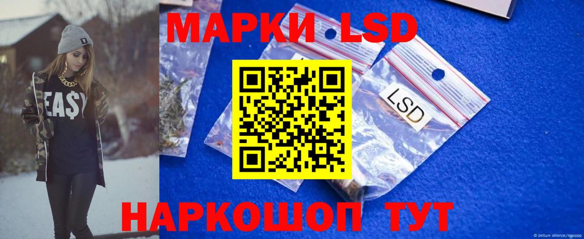 Галлюциногенные грибы Лесной