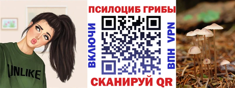 Галлюциногенные грибы прущие грибы  Лесной 