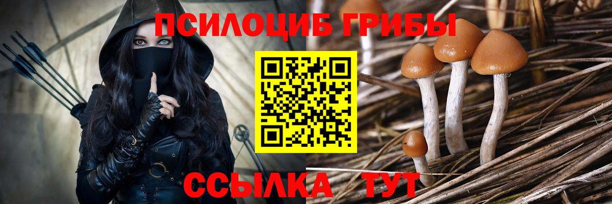 Псилоцибиновые грибы Magic Shrooms  Вход с VPN  Лесной 